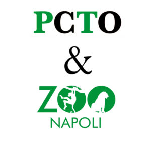 pcto zoo